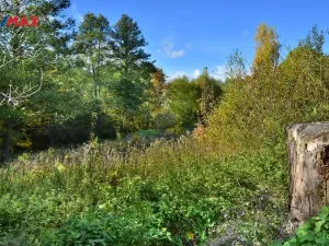 Prodej pozemku pro bydlení, Lampertice, 3749 m2