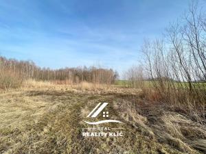 Prodej zemědělské půdy, Markvartovice, 15421 m2
