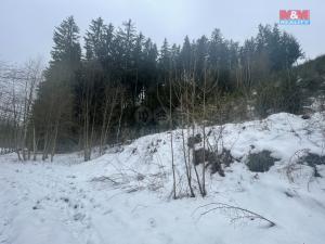 Prodej lesa, Bozkov, 22863 m2