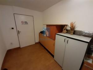 Pronájem atypického bytu, Plzeň, Jarní, 15 m2
