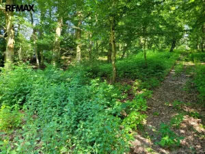 Prodej pozemku pro bydlení, Chyňava, 1246 m2