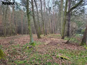 Prodej pozemku pro bydlení, Chyňava, 1246 m2