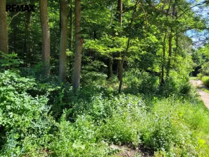 Prodej pozemku pro bydlení, Chyňava, 1246 m2