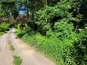 Prodej pozemku pro bydlení, Chyňava, 1246 m2