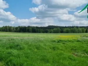 Prodej zemědělské půdy, Hošťka, 645446 m2