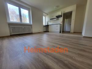 Pronájem bytu 1+kk, Havířov - Šumbark, U Nádraží, 27 m2