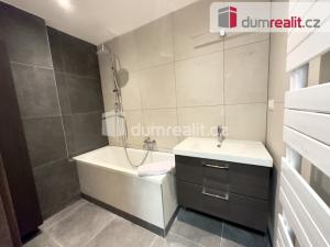 Pronájem bytu 2+1, Ústí nad Labem, Alešova, 58 m2