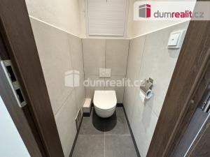 Pronájem bytu 2+1, Ústí nad Labem, Alešova, 58 m2