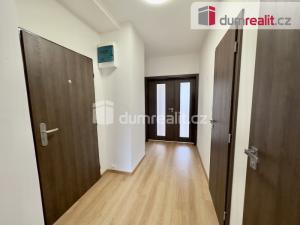 Pronájem bytu 2+1, Ústí nad Labem, Alešova, 58 m2