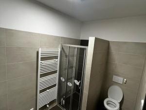 Pronájem bytu 2+kk, Moravská Třebová, Cechovní, 64 m2