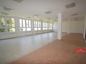 Pronájem výrobních prostor, Pelhřimov, Pražská, 665 m2