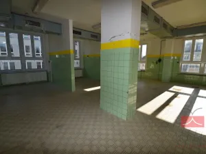 Pronájem výrobních prostor, Pelhřimov, Pražská, 665 m2