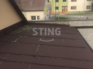 Prodej komerční nemovitosti, Hodonín, Měšťanská, 240 m2