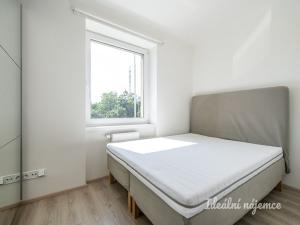 Pronájem bytu 2+kk, Praha - Hloubětín, Na obrátce, 30 m2