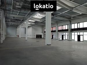 Pronájem skladu, Libouchec - Knínice, 9253 m2