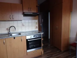 Pronájem bytu 1+1, Břidličná, Nerudova, 37 m2