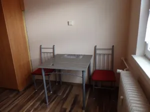 Pronájem bytu 1+1, Břidličná, Nerudova, 37 m2