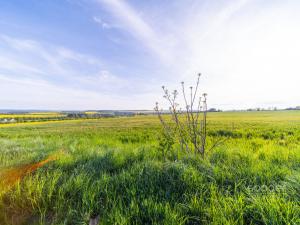 Prodej pozemku pro bydlení, Dobříč, 2813 m2