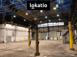 Pronájem výrobních prostor, Studénka, 5500 m2