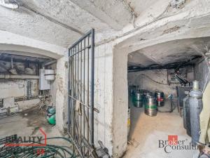 Prodej restaurace, Nová Role, Chodovská, 140 m2