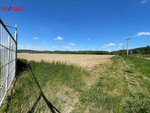 Prodej zemědělské půdy, Dolany, 5000 m2