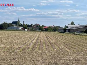 Prodej zemědělské půdy, Dolany, 5000 m2