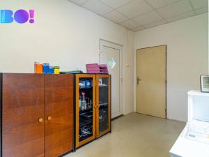 Prodej výrobních prostor, Třinec - Staré Město, 267 m2