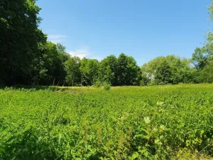 Prodej pozemku pro bydlení, Hukvaldy, 9808 m2