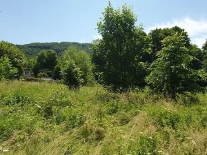 Prodej pozemku pro bydlení, Hukvaldy, 9808 m2