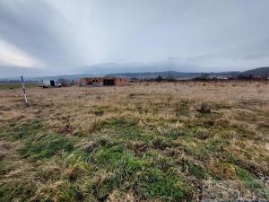 Prodej pozemku pro bydlení, Krnov - Krásné Loučky, 1190 m2