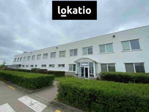 Pronájem skladu, Hodonín, 3600 m2