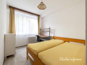 Pronájem bytu 2+kk, Praha - Vinohrady, Vinohradská, 44 m2