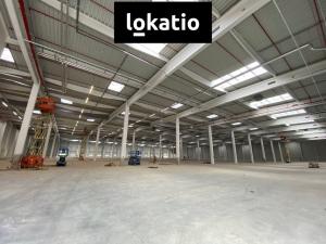 Pronájem skladu, Ostrava - Vítkovice, 14255 m2