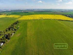 Prodej zemědělské půdy, Dolní Břežany, 4410 m2