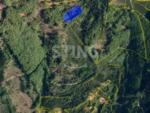 Prodej trvalého travního porostu, Košařiska, 6262 m2
