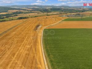 Prodej zemědělské půdy, Krasíkov, 38560 m2