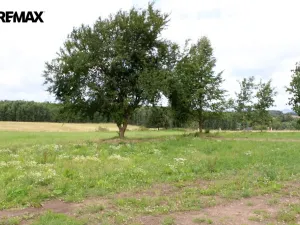 Prodej pozemku pro bydlení, Pertoltice, 4488 m2