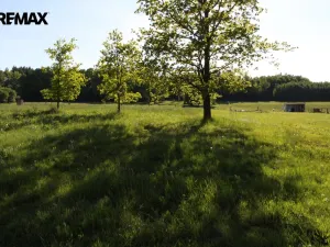 Prodej pozemku pro bydlení, Pertoltice, 4488 m2