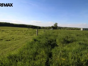 Prodej pozemku pro bydlení, Pertoltice, 4488 m2