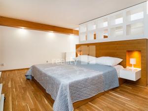 Pronájem bytu 2+kk, Praha - Nové Město, Senovážné náměstí, 104 m2