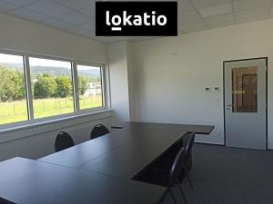 Pronájem skladu, Ostrov, 700 m2