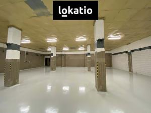 Pronájem skladu, Olomouc - Holice, 400 m2