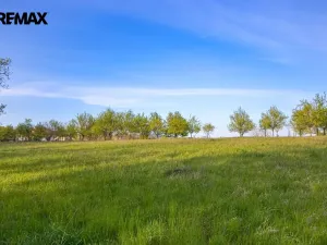 Prodej zemědělské půdy, Zlín, 4674 m2