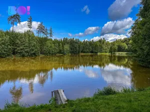 Prodej pozemku pro bydlení, Skuhrov, 3959 m2