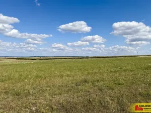 Prodej pozemku pro komerční výstavbu, Znojmo, 22332 m2