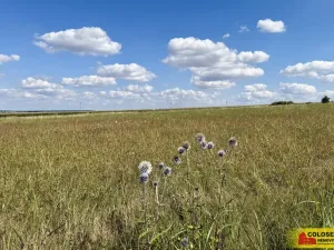 Prodej pozemku pro komerční výstavbu, Znojmo, 22332 m2