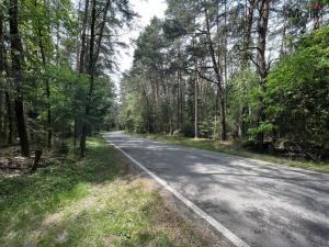 Prodej lesa, Kadov - Vrbno, Kadov, 2123 m2