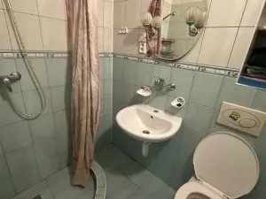 Prodej vícegeneračního domu, Žatec, Tyršova, 417 m2