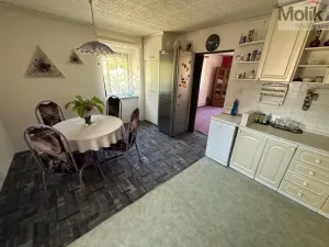 Prodej vícegeneračního domu, Žatec, Tyršova, 417 m2