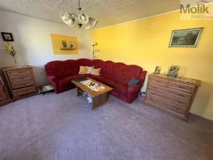 Prodej vícegeneračního domu, Žatec, Tyršova, 417 m2